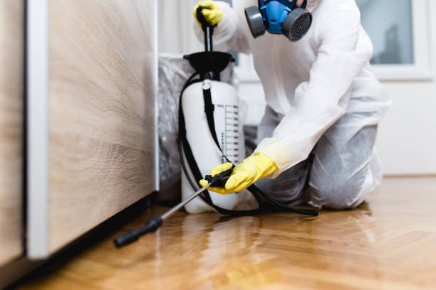 Best Best Pest Control Companies  in Sleepy Hollow, IL
