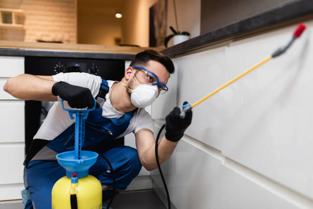 Best Best Pest Control Companies  in Sleepy Hollow, IL