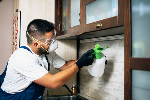 Best Emergency Pest Control  in Sleepy Hollow, IL