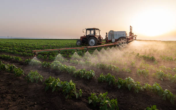 Best Mosquito Control Services  in Sleepy Hollow, IL