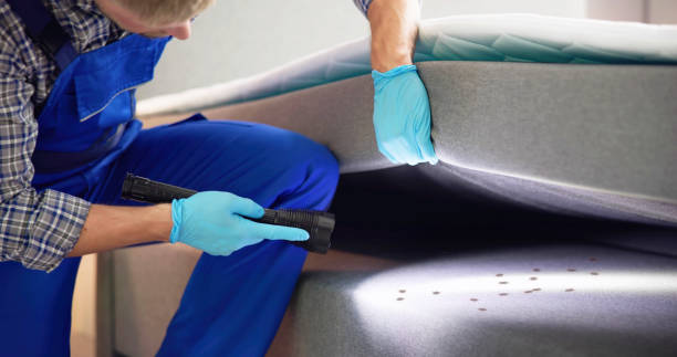 Best Pest Inspection Near Me  in Sleepy Hollow, IL
