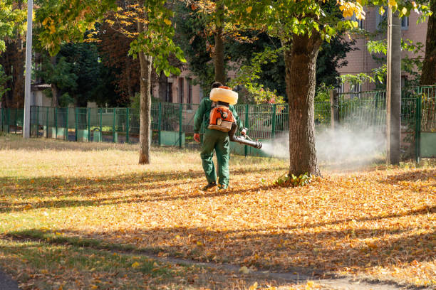 Best Bird Control  in Sleepy Hollow, IL