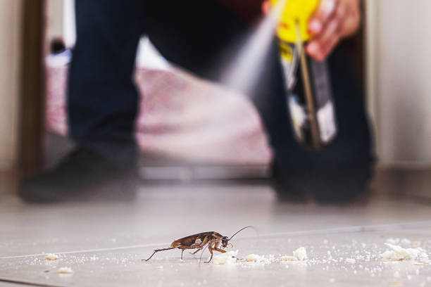 Sleepy Hollow, IL Pest Control Company