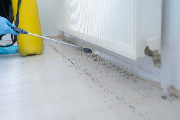 Best Emergency Pest Control  in Sleepy Hollow, IL