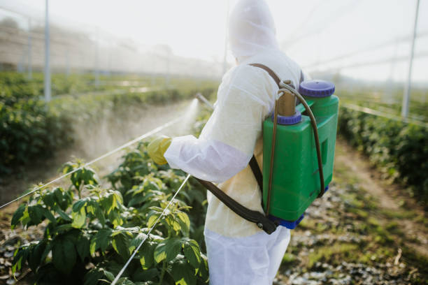 Best Pest Removal Services  in Sleepy Hollow, IL